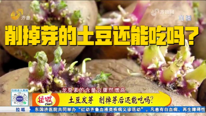 澳门今晚开奖结果号码,蛟龙行动宣布“择日再见”,动态词语解释落实_高清版V6.87