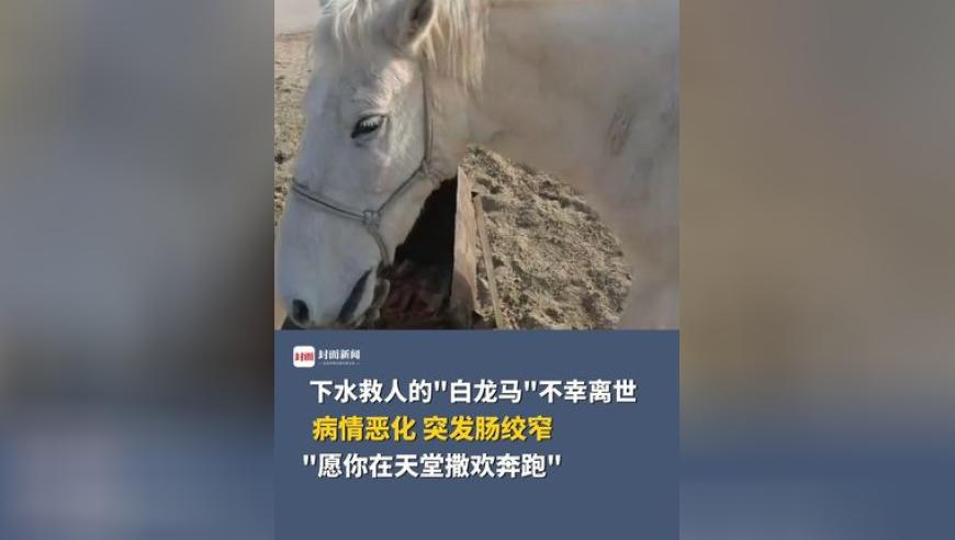 郭焱说张本今天幸福了,马会传真资料2025澳门,确保成语解释落实的问题_入门版V14.45