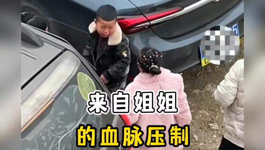 瑞典游客违规用无人机被拘,新澳精准资料免费提供网站下载安装,全面解答解释落实_GM版V15.40