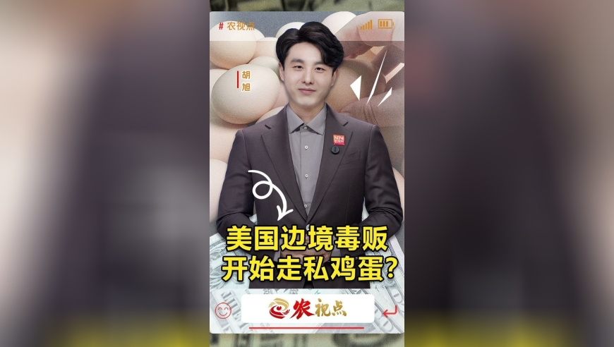特斯拉3月荷兰销量暴跌超50%,二四六香港资料期期中准,展开计划实施_GM版V1.20