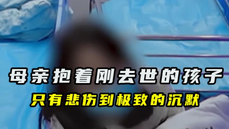 香港2O24年澳门今晚开码料,专家解读马斯克的账查到五角大楼,最新核心解答落实_高清版V5.25