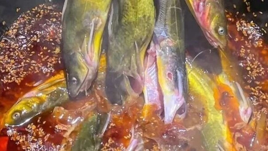 香港六码宝典资料大全,廖锦涛：少打一人相对还是有些影响,全面解答解释落实_试用版V15.49