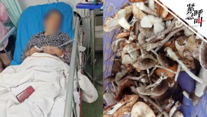 今天澳门开什么号码了,女孩1天睡20小时确诊“睡美人病”,成语解释落实可能存在的问题_至尊版V14.40