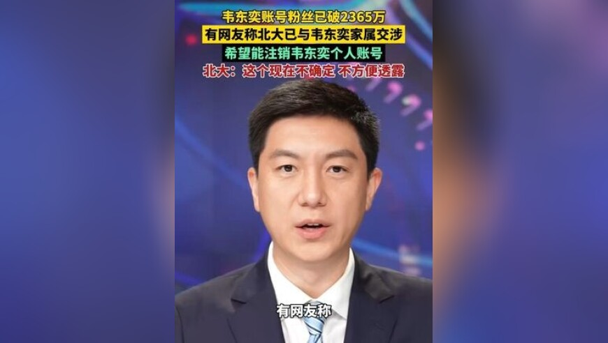 2025澳门精准一肖100准,摘野艾草做青团,多元化方案执行策略_AndroidV12.92